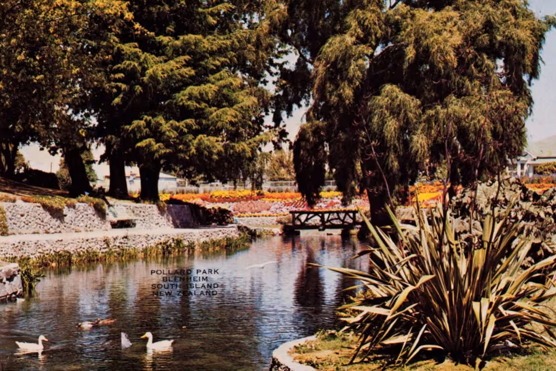 1970s image of Blenheim's Pollard Park, Parker Street side.